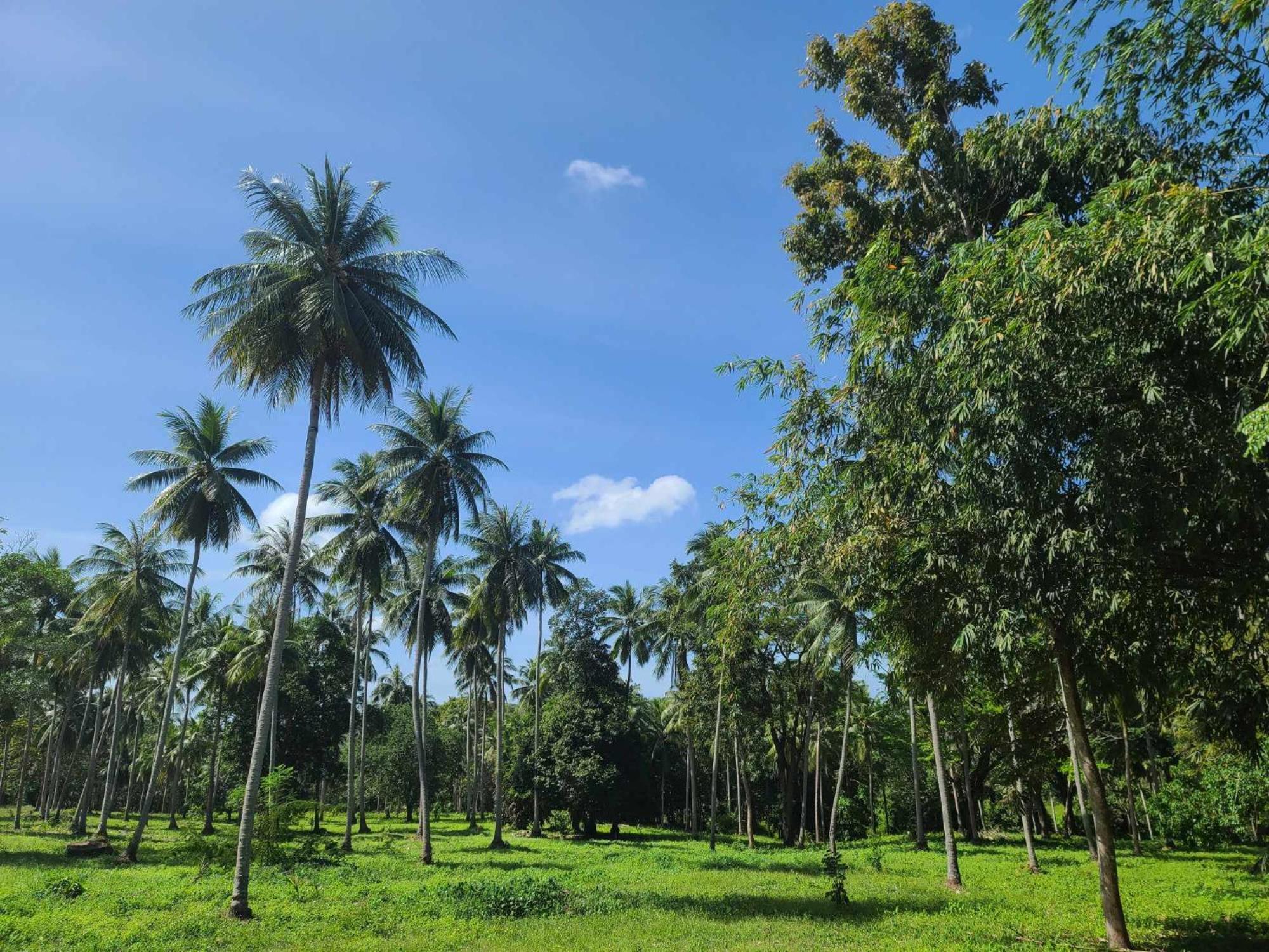The Secret Garden Homestay Koh Yao Yai Яо-Яй Экстерьер фото