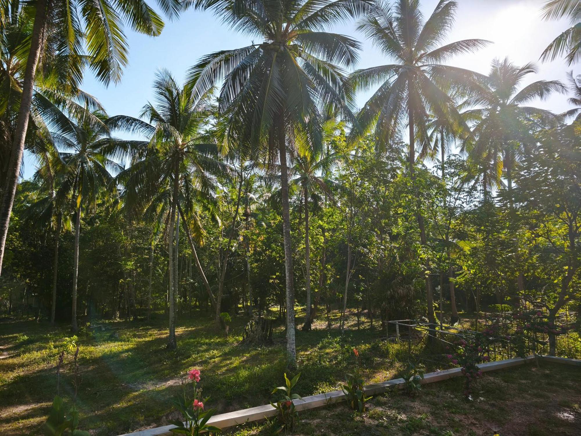 The Secret Garden Homestay Koh Yao Yai Яо-Яй Экстерьер фото