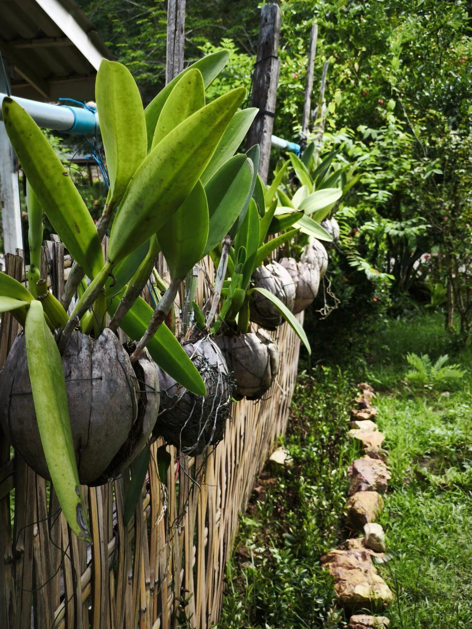 The Secret Garden Homestay Koh Yao Yai Яо-Яй Экстерьер фото